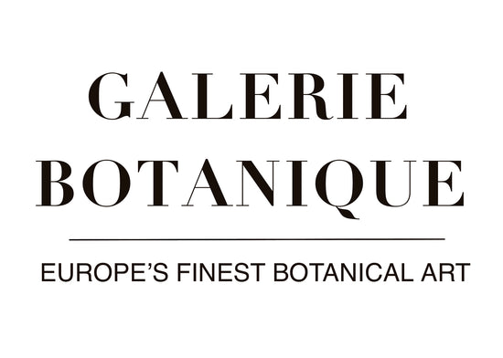 Galerie Botanique