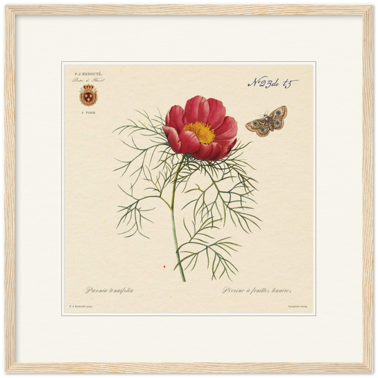 Pierre-Joseph Redouté, floral, flowers, art, wall art, flower prints, botanical, illustration, plants, roses
