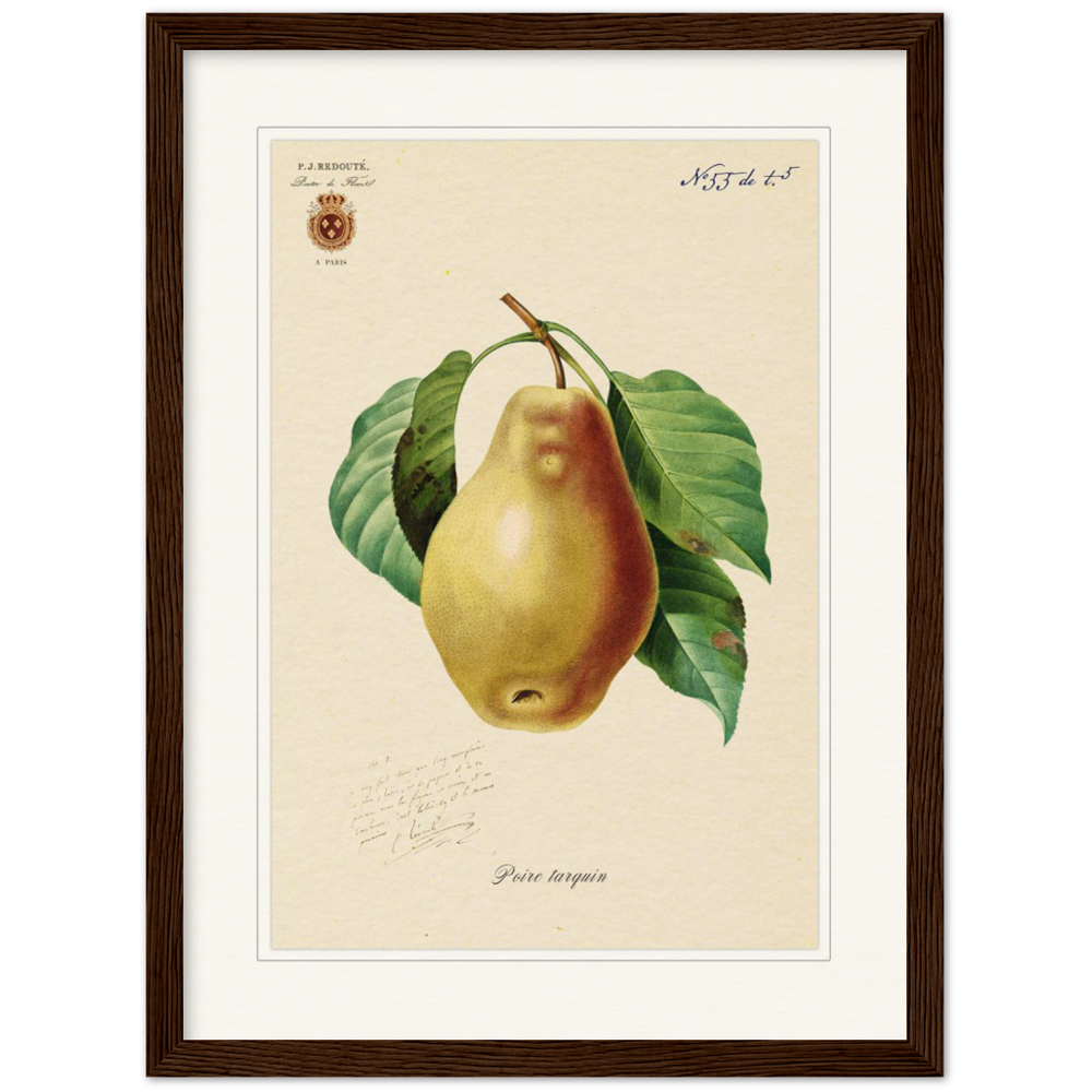 Tarquin Pear