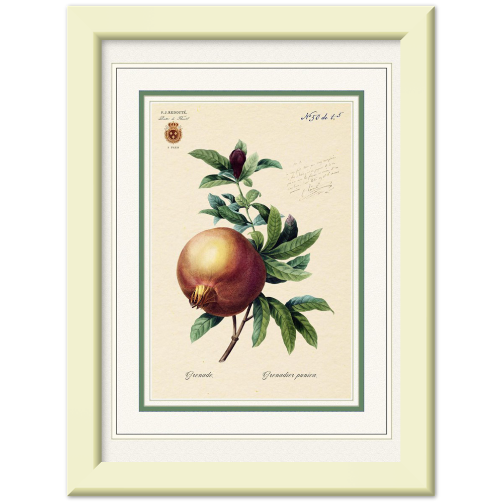 Pomegranate (mat and gold edition)