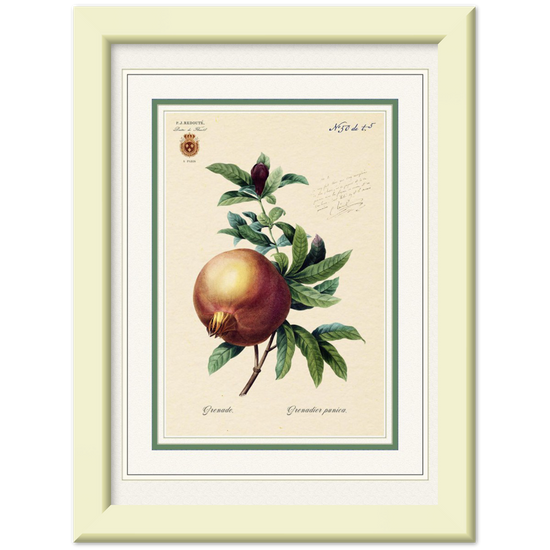 Pomegranate (mat and gold edition)