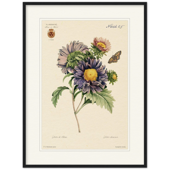 Pierre-Joseph Redouté, floral, flowers, art, wall art, flower prints, botanical, illustration, plants, roses