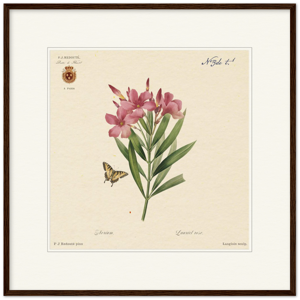 Oleander flowers by Redouté, édition classique