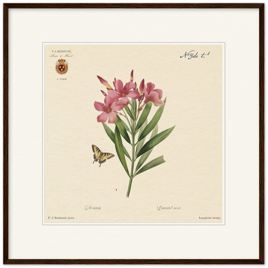 Oleander flowers by Redouté, édition classique