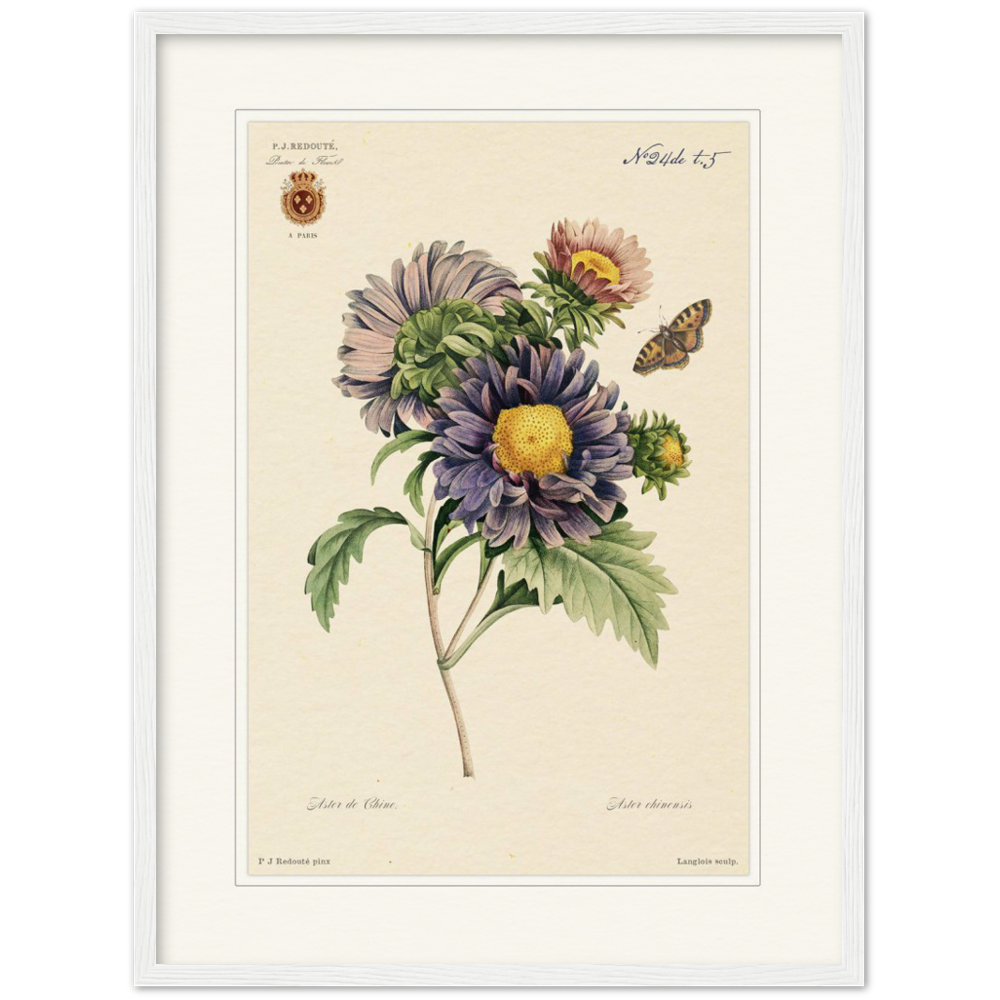 Pierre-Joseph Redouté, floral, flowers, art, wall art, flower prints, botanical, illustration, plants, roses