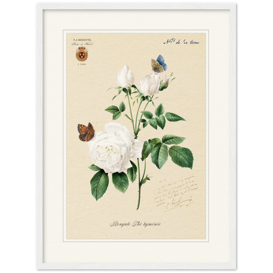 Pierre-Joseph Redouté, floral, flowers, art, wall art, flower prints, botanical, illustration, plants, roses