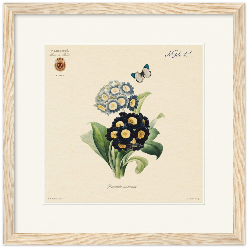 Pierre-Joseph Redouté, floral, flowers, art, wall art, flower prints, botanical, illustration, plants, roses