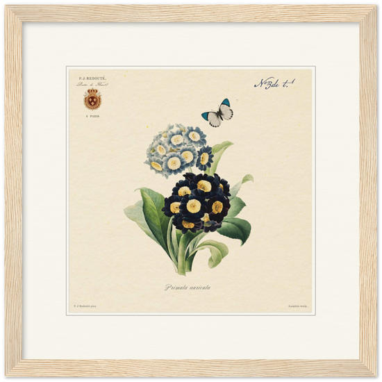 Pierre-Joseph Redouté, floral, flowers, art, wall art, flower prints, botanical, illustration, plants, roses