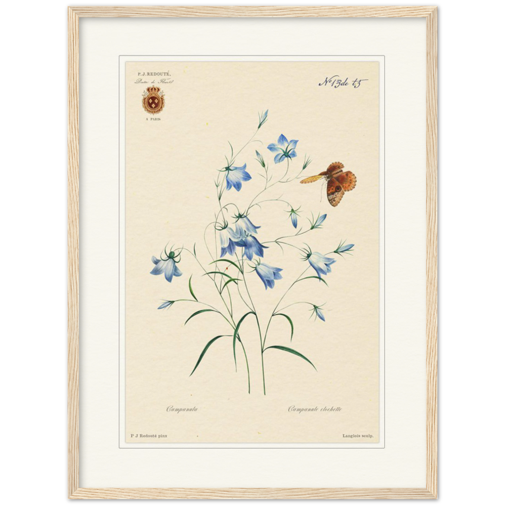 Pierre-Joseph Redouté, floral, flowers, art, wall art, flower prints, botanical, illustration, plants, roses