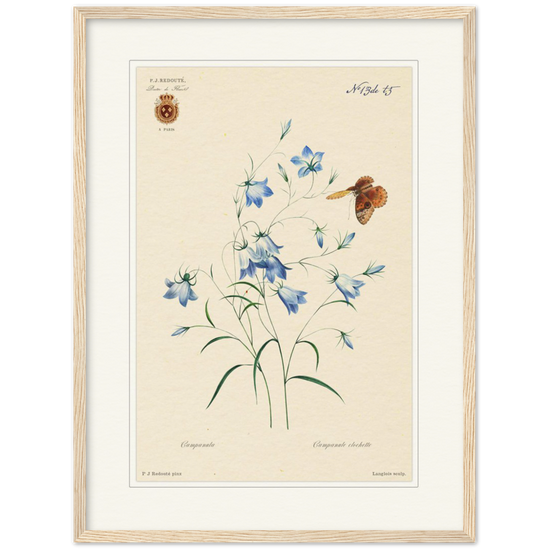Pierre-Joseph Redouté, floral, flowers, art, wall art, flower prints, botanical, illustration, plants, roses
