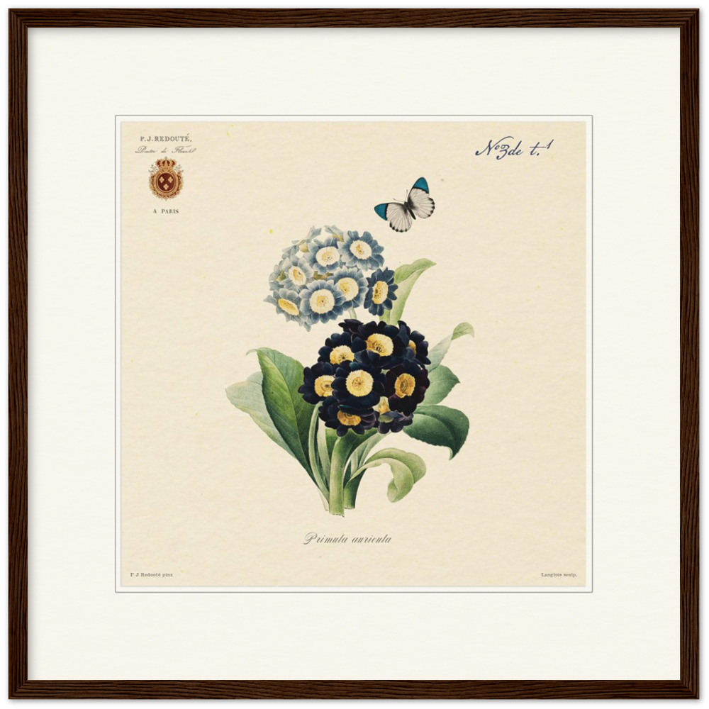 Pierre-Joseph Redouté, floral, flowers, art, wall art, flower prints, botanical, illustration, plants, roses