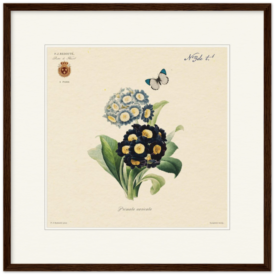 Pierre-Joseph Redouté, floral, flowers, art, wall art, flower prints, botanical, illustration, plants, roses