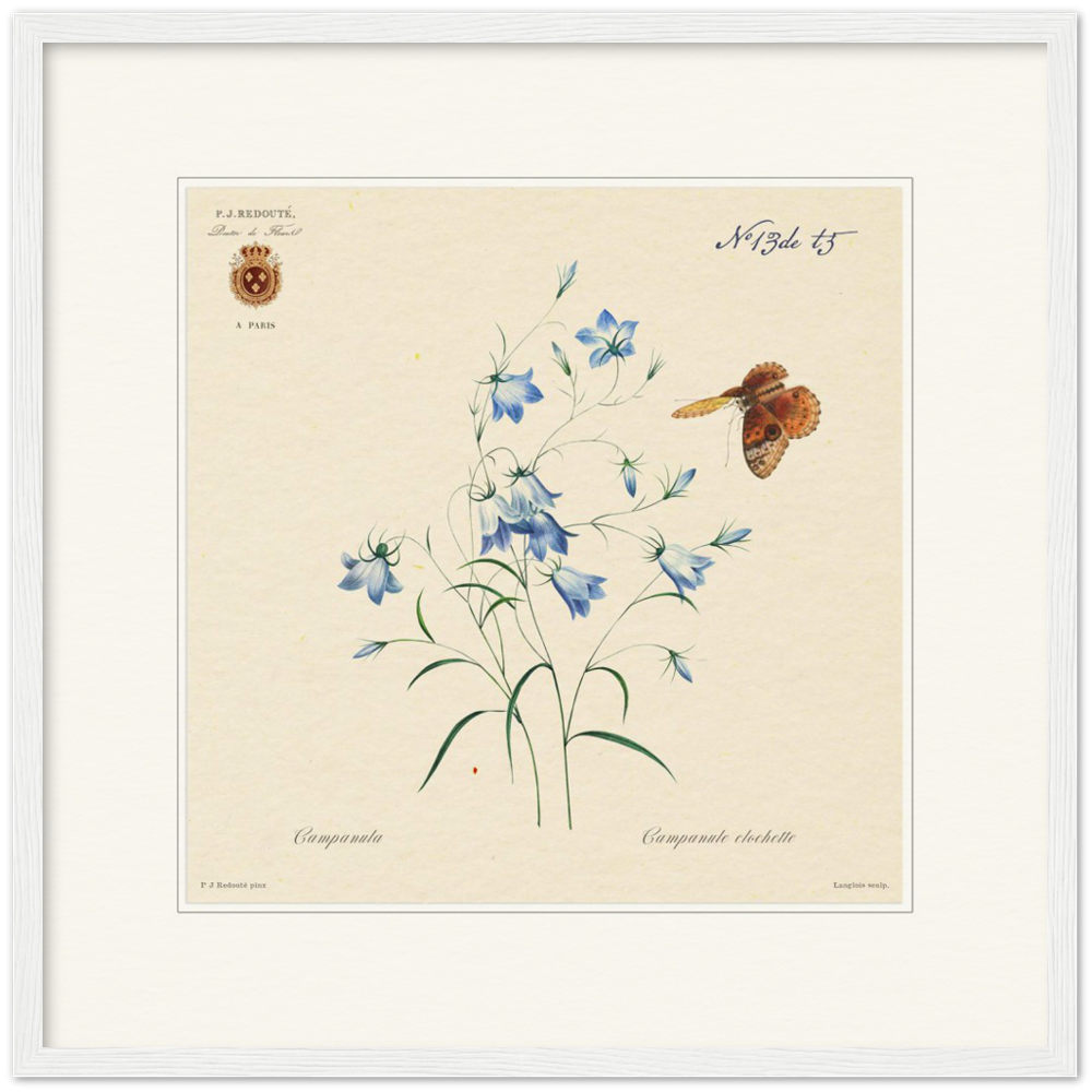 Pierre-Joseph Redouté, floral, flowers, art, wall art, flower prints, botanical, illustration, plants, roses