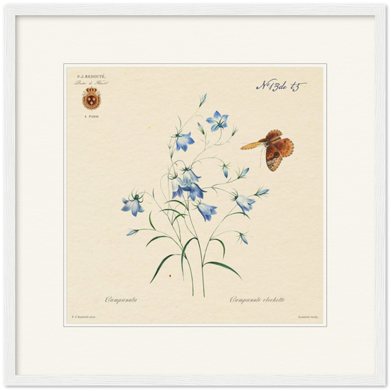 Pierre-Joseph Redouté, floral, flowers, art, wall art, flower prints, botanical, illustration, plants, roses