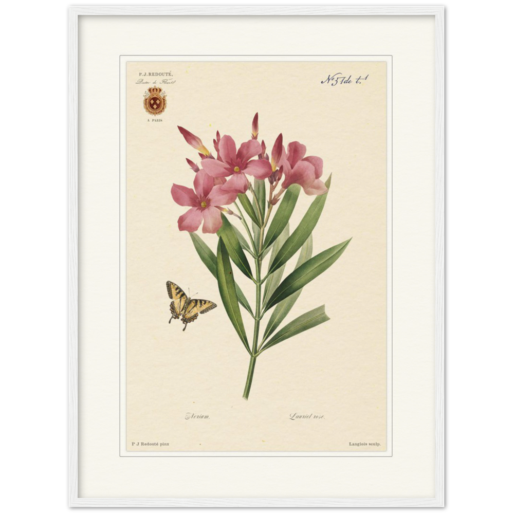 Pierre-Joseph Redouté, floral, flowers, art, wall art, flower prints, botanical, illustration, plants, roses