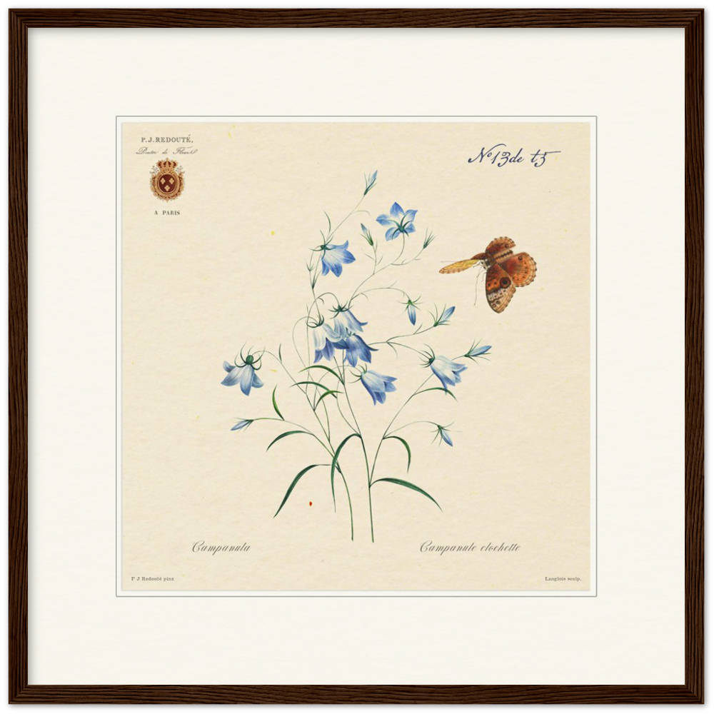 Pierre-Joseph Redouté, floral, flowers, art, wall art, flower prints, botanical, illustration, plants, roses