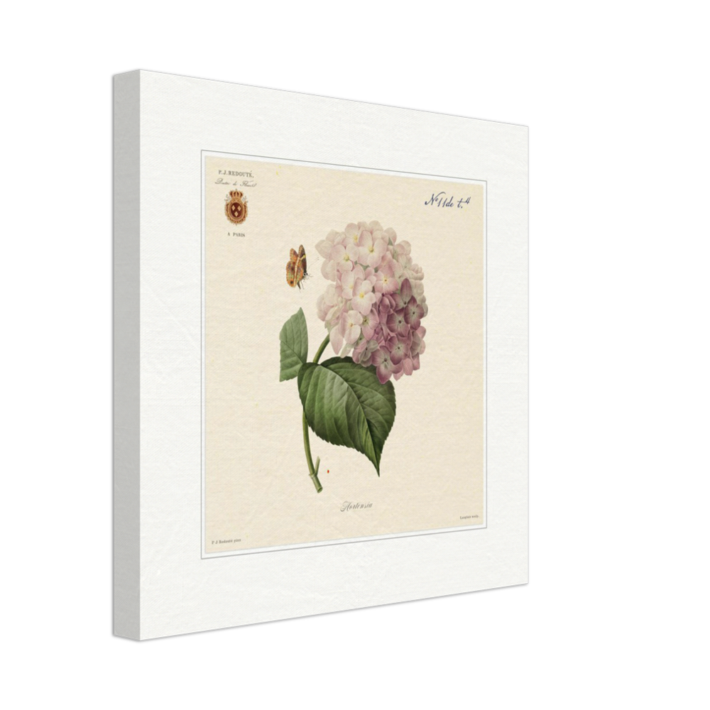Pierre-Joseph Redouté, floral, flowers, art, wall art, flower prints, botanical, illustration, plants, roses