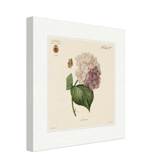 Pierre-Joseph Redouté, floral, flowers, art, wall art, flower prints, botanical, illustration, plants, roses