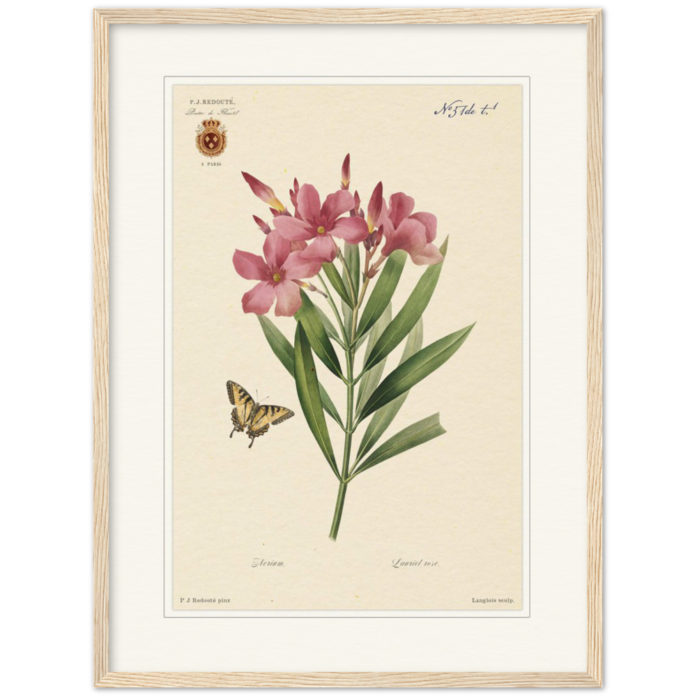 Pierre-Joseph Redouté, floral, flowers, art, wall art, flower prints, botanical, illustration, plants, roses