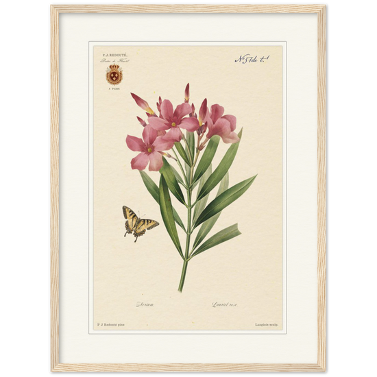 Pierre-Joseph Redouté, floral, flowers, art, wall art, flower prints, botanical, illustration, plants, roses