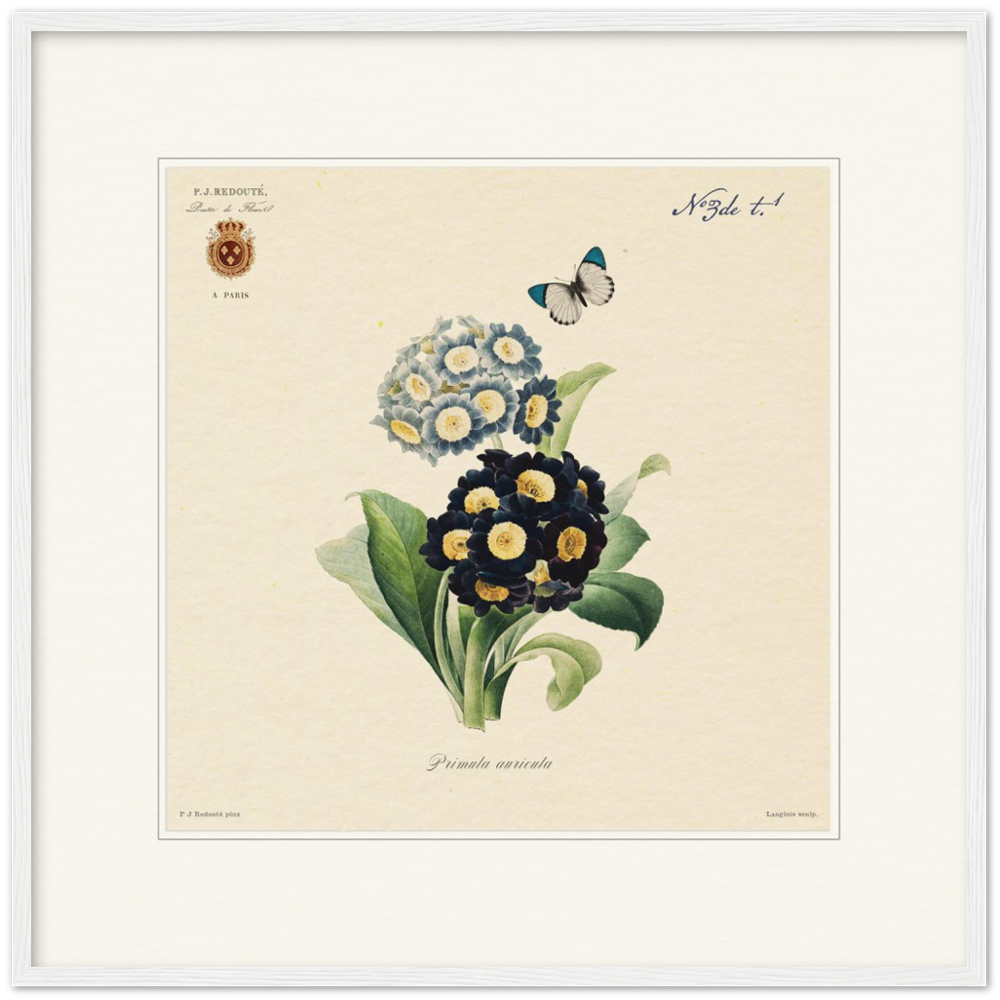 Pierre-Joseph Redouté, floral, flowers, art, wall art, flower prints, botanical, illustration, plants, roses