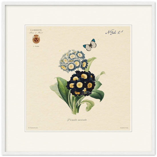 Pierre-Joseph Redouté, floral, flowers, art, wall art, flower prints, botanical, illustration, plants, roses