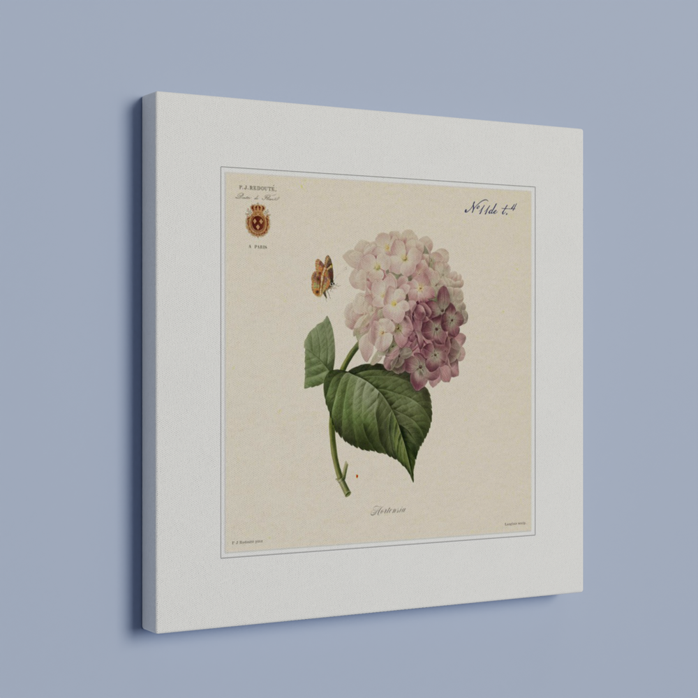 Pierre-Joseph Redouté, floral, flowers, art, wall art, flower prints, botanical, illustration, plants, roses