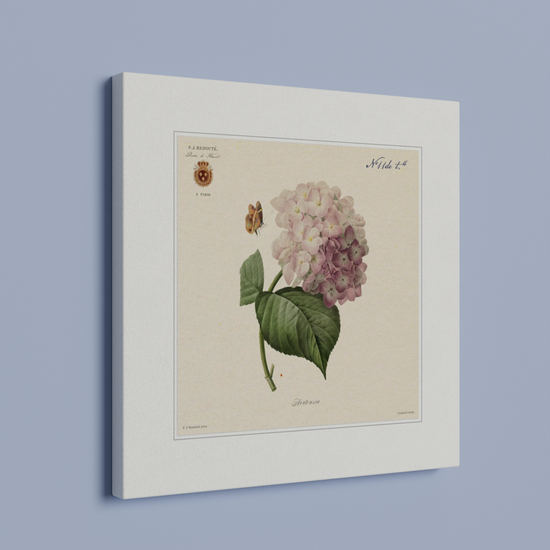 Pierre-Joseph Redouté, floral, flowers, art, wall art, flower prints, botanical, illustration, plants, roses