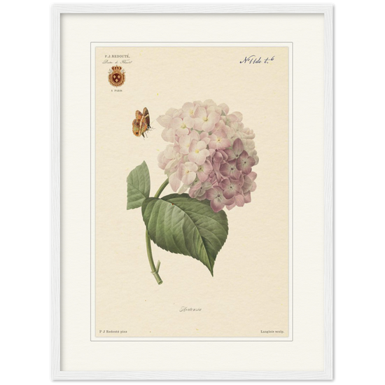 Pierre-Joseph Redouté, floral, flowers, art, wall art, flower prints, botanical, illustration, plants, roses