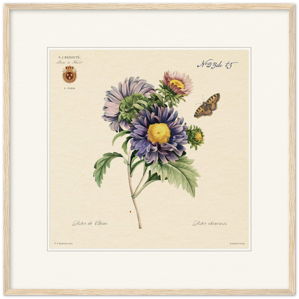 Pierre-Joseph Redouté, floral, flowers, art, wall art, flower prints, botanical, illustration, plants, roses