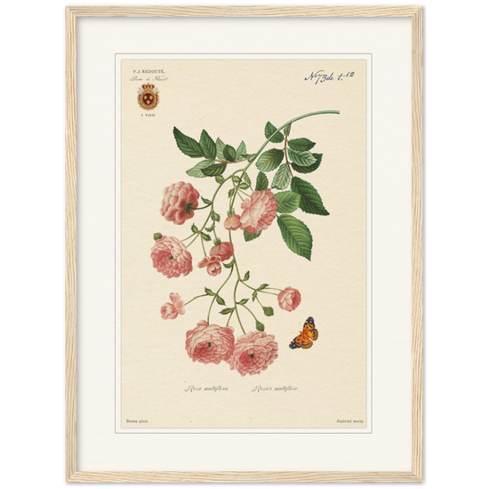 Pierre-Joseph Redouté, floral, flowers, art, wall art, flower prints, botanical, illustration, plants, roses