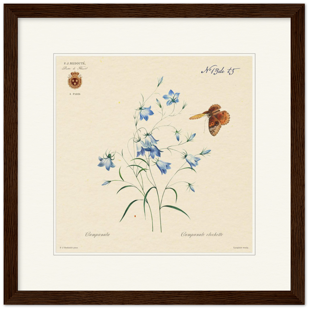 Pierre-Joseph Redouté, floral, flowers, art, wall art, flower prints, botanical, illustration, plants, roses