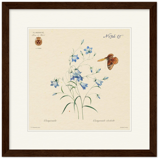 Pierre-Joseph Redouté, floral, flowers, art, wall art, flower prints, botanical, illustration, plants, roses