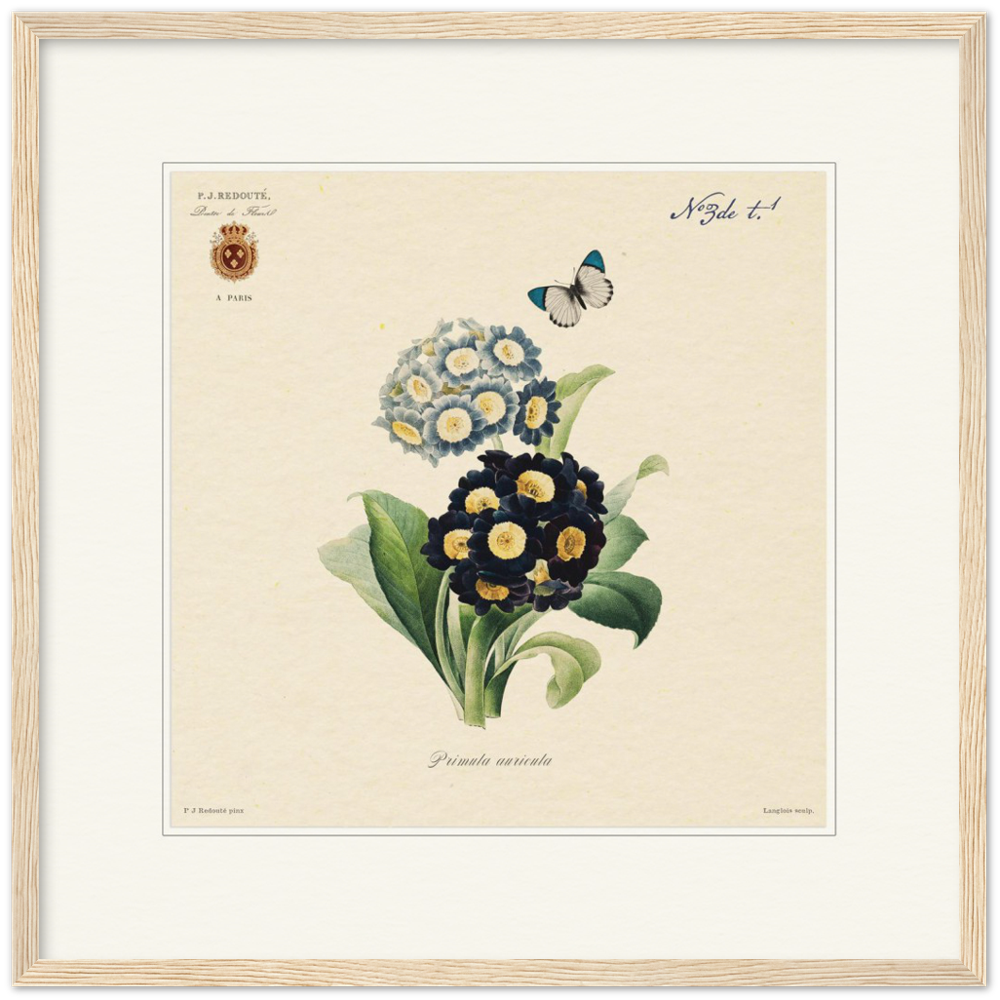 Pierre-Joseph Redouté, floral, flowers, art, wall art, flower prints, botanical, illustration, plants, roses