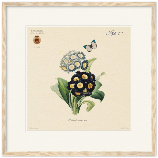 Pierre-Joseph Redouté, floral, flowers, art, wall art, flower prints, botanical, illustration, plants, roses