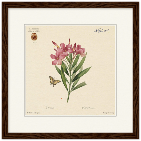 Oleander flowers by Redouté, édition classique