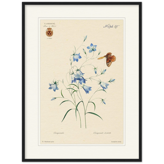 Pierre-Joseph Redouté, floral, flowers, art, wall art, flower prints, botanical, illustration, plants, roses