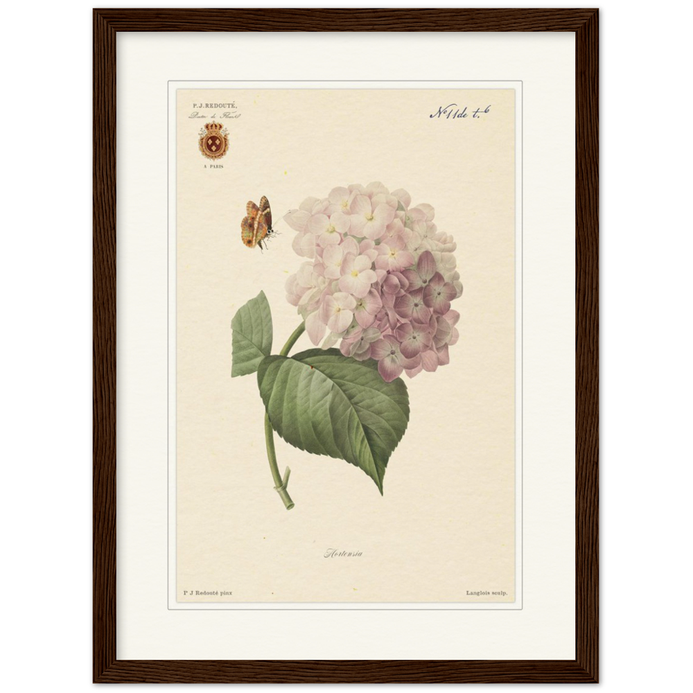 Pierre-Joseph Redouté, floral, flowers, art, wall art, flower prints, botanical, illustration, plants, roses