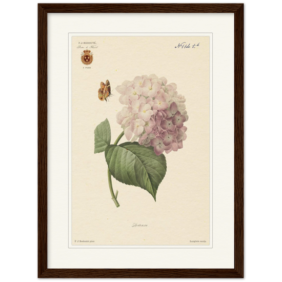 Pierre-Joseph Redouté, floral, flowers, art, wall art, flower prints, botanical, illustration, plants, roses