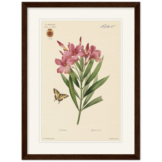 Pierre-Joseph Redouté, floral, flowers, art, wall art, flower prints, botanical, illustration, plants, roses