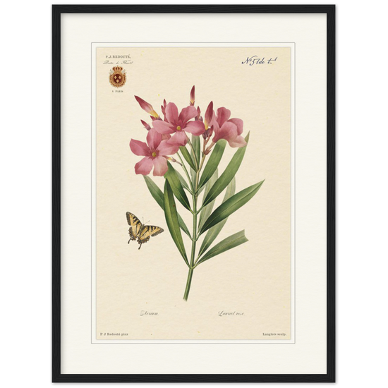 Pierre-Joseph Redouté, floral, flowers, art, wall art, flower prints, botanical, illustration, plants, roses