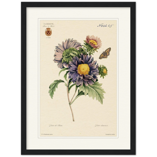 Pierre-Joseph Redouté, floral, flowers, art, wall art, flower prints, botanical, illustration, plants, roses