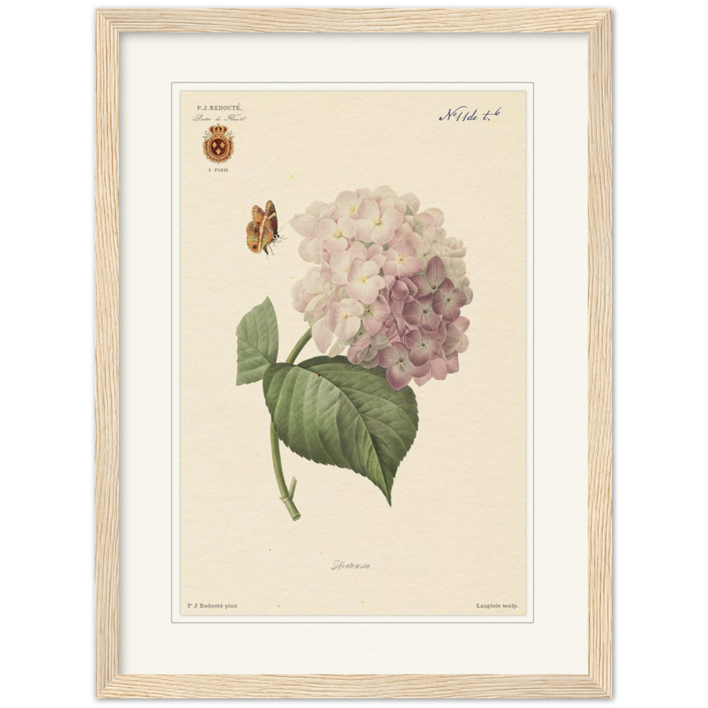 Pierre-Joseph Redouté, floral, flowers, art, wall art, flower prints, botanical, illustration, plants, roses