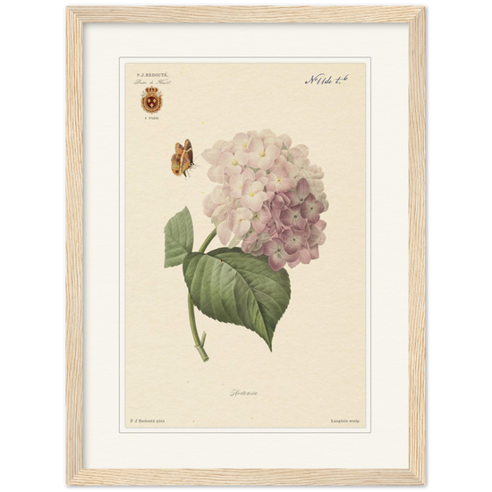 Pierre-Joseph Redouté, floral, flowers, art, wall art, flower prints, botanical, illustration, plants, roses