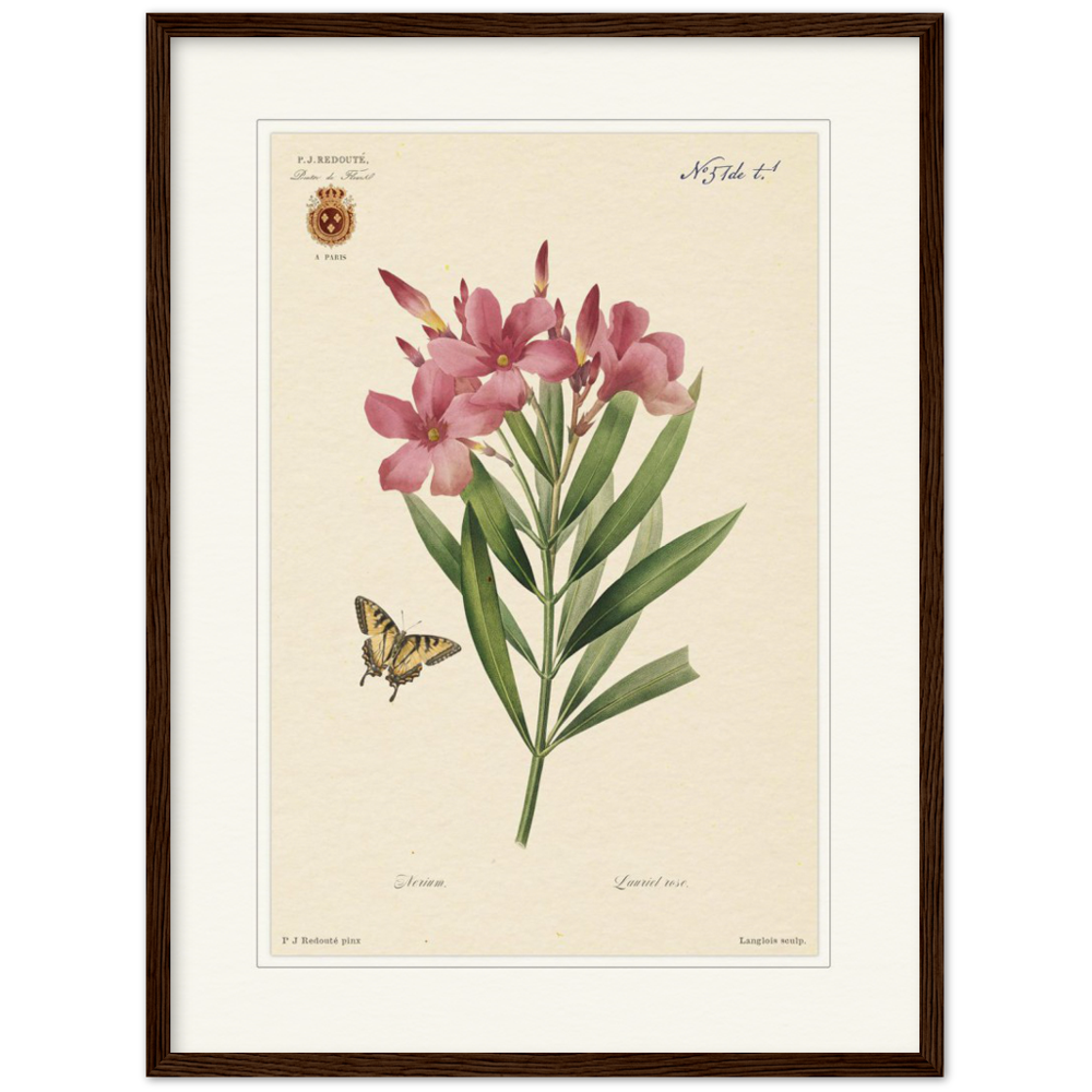 Pierre-Joseph Redouté, floral, flowers, art, wall art, flower prints, botanical, illustration, plants, roses