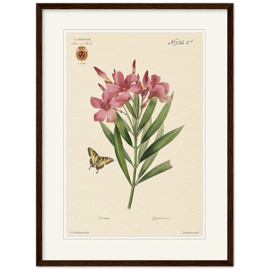 Pierre-Joseph Redouté, floral, flowers, art, wall art, flower prints, botanical, illustration, plants, roses