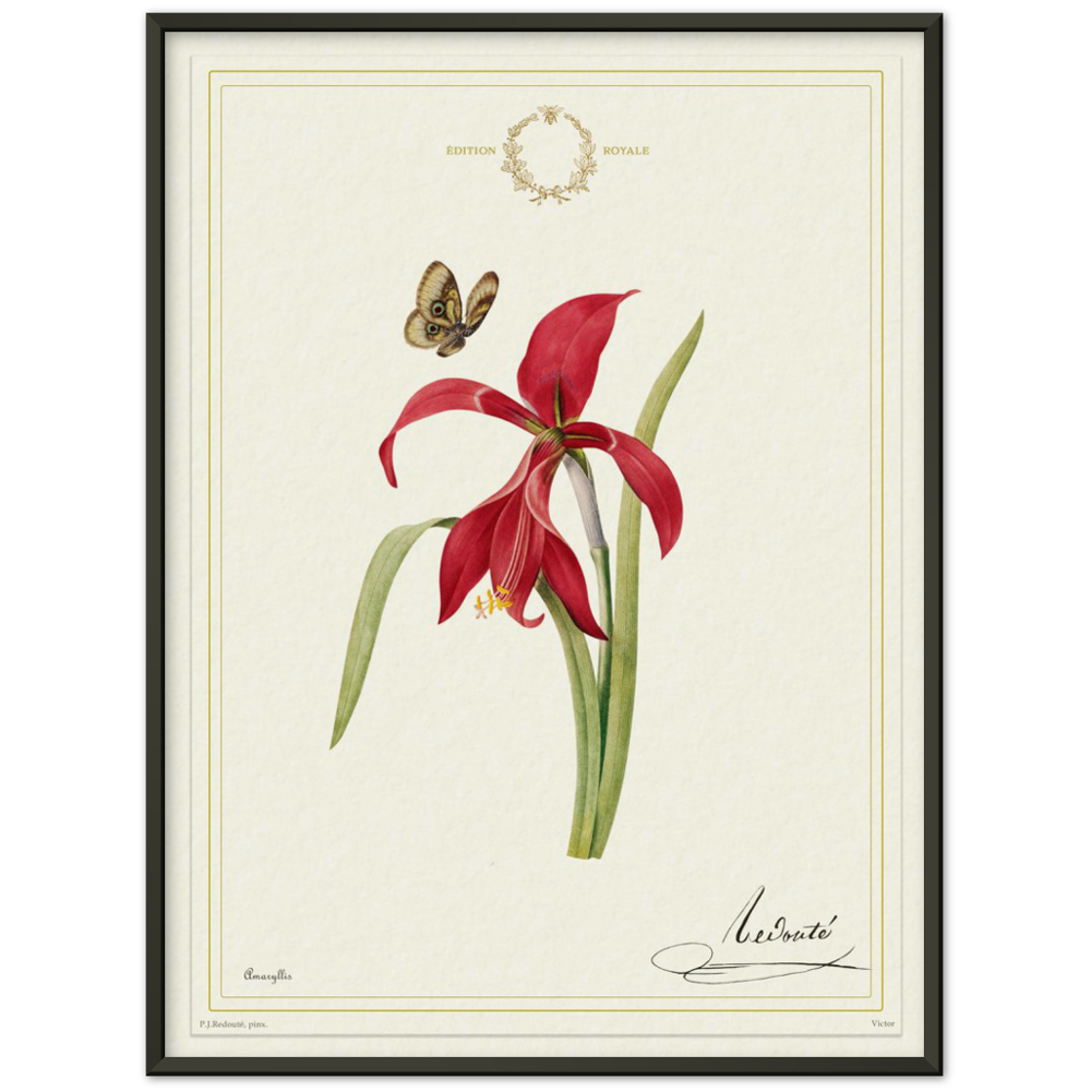 Pierre-Joseph Redouté, floral, flowers, art, wall art, flower prints, botanical, illustration, plants, roses