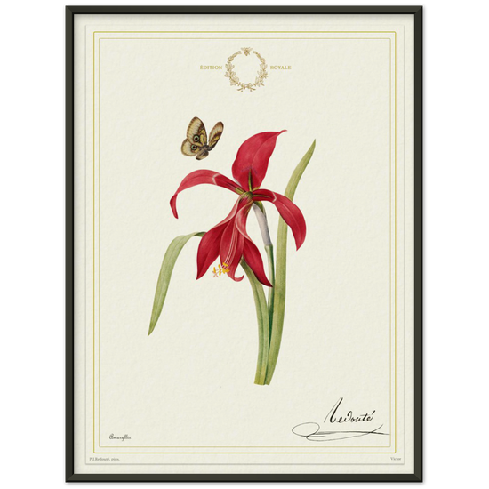 Pierre-Joseph Redouté, floral, flowers, art, wall art, flower prints, botanical, illustration, plants, roses