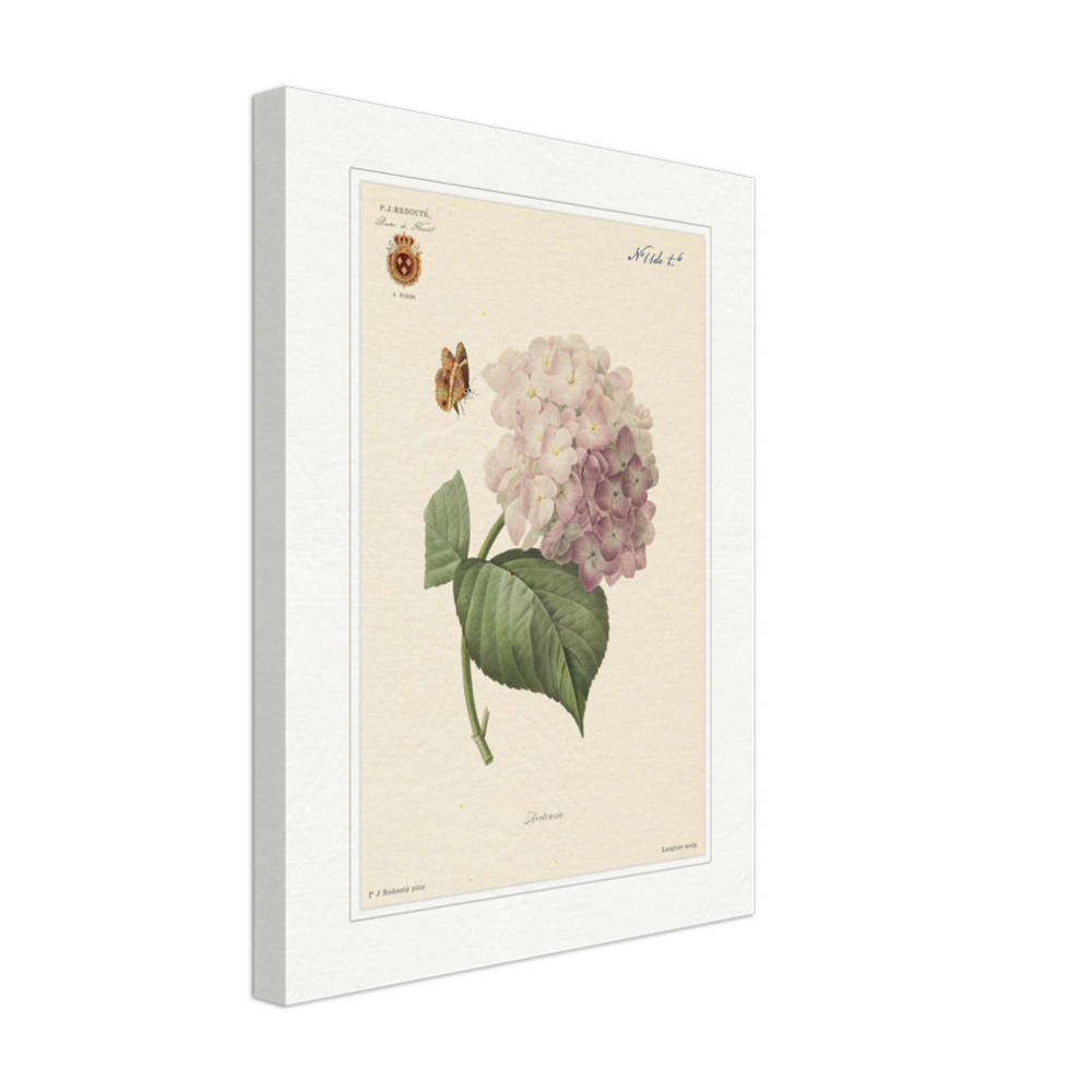 Pierre-Joseph Redouté, floral, flowers, art, wall art, flower prints, botanical, illustration, plants, roses