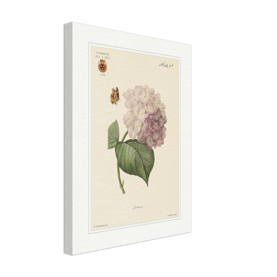 Pierre-Joseph Redouté, floral, flowers, art, wall art, flower prints, botanical, illustration, plants, roses